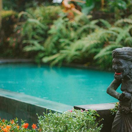 Kertayasa House Hotel Убуд Екстериор снимка